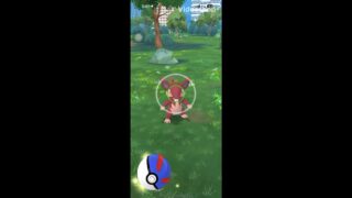 Pokemon Go Catching and Evolving Shiny Alolan Rattata
