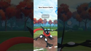 Pokemon Go PVP – Start of a New Season! #pokemongo #pokemontcgpocket #shorts