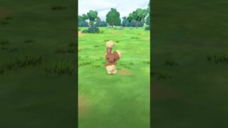 Pokémon Go Shenanigans