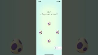 QUADRUPLE 10k EGG HATCH!! Has anybody had any good hatches lately?