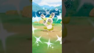 🔥RARE SHINY From Field Research!🔥 Pokemon GO! #pokemongo #pokemongolive #shinypokemon