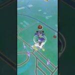 ✨️SHINY Ditto Caught ×2 In Pokémon Go!✨️#pokemongo #shinypokemon #viralshorts