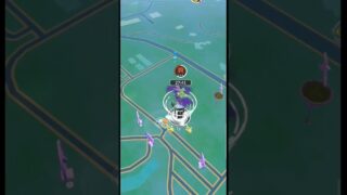 ✨️SHINY Ditto Caught ×2 In Pokémon Go!✨️#pokemongo #shinypokemon #viralshorts