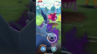 Shadow Dialga dragon breath downs Palkia for the win