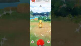 ✨Shiny Charmander CAUGHT In Pokemon Go!✨ #shorts #pokemon