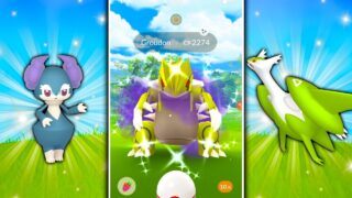 THIS WEEK IN POKEMON GO! Shiny Shadow Groudon Release, Shiny Indeedee Debut and More!