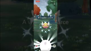 ✨This SHINY Pokemon Caught Me Off Guard in Pokemon Go!✨ #shorts #pokemon