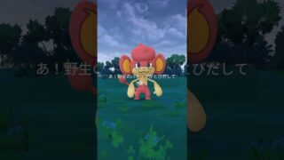 背景色でろ！ #ポケモンgo #ポケモン