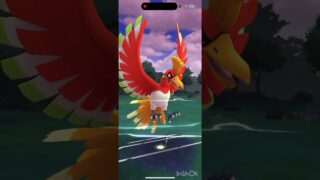 ハイパーリーグ❗️ホウオウ強い!#ポケモンgo#ホウオウ