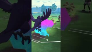 【ハイパーリーグ】ドラゴン増えてきてるからはがねフェアリーが有利か！？#ポケモンgo #gbl