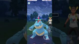 【ハイパーリーグ】フラージェスによって完成した電気フェアリーフェアリー！#ポケモンgo #gbl