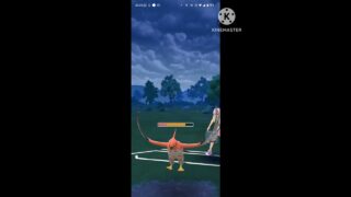 キノガッサファンの皆様お待たせしました #ポケモンgo #ポケモンgoバトルリーグ #ポケモン