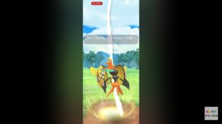 ポケモンgo トレーニングバトル part138   ハイパーリーグ