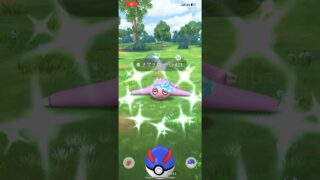 #ナマケロ #ポケモンgo #ポケモン #pokemon #pokemongo #色違い #バイザーナマケロ