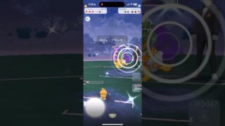🌪️#シャドウトルネロス をゲットだぜ🌪️ #ポケモンgo #pokemongo #ポケモン #ロケット団 #サカキ #トルネロス #アチャモ