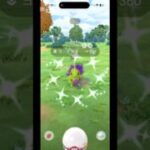 最速色違いゲット！！#ポケモン #ポケモンgo #色違い #色違いポケモン #ロケット団イベント#シャドウヨーギラス#幹部 #shorts
