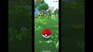 野生で準伝！？#ポケモンgo  #ポケモン #準伝説#伝説#ポケモンza #伝説のポケモン #でんせつ #伝説#珍しい#ゲーム実況#ゲーム#色違い#最高の瞬間 #最高#最高のゲーム #shorts