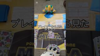 プレイヤーから見たダメカンと　ポケモンカードから見たダメカン