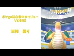 ノーカットver  ポケgo初心者カイリュー1人討伐に挑む