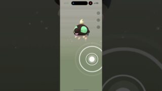 12ｷﾛ🥚12個割りTL解放来たよ！#ポケモンGO