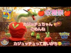 🍎収穫祭初日🍎まったりポケ活　カミツオロチちゃんへの進化は高個体のカジッチュちゃんをGETしてからね【ポケモンGO】【無課金】