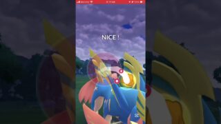 ポケモンGOバトルリーグ　マスターリーグ 1107