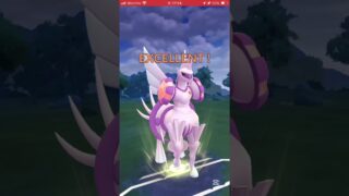 ポケモンGOバトルリーグ　マスターリーグ 1109