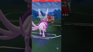 ポケモンGOバトルリーグ　マスターリーグ 1114