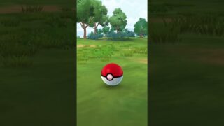 遂にジラーチとご対面🌟【ポケモンGO】