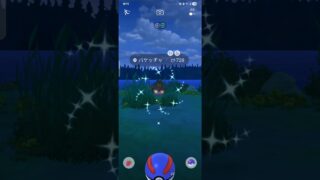 今さらですが色違い　バケッチャ　ポケモンGO