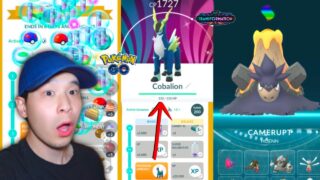 GO Pass Deluxe COMPLETE! SHINY Mega Camerupt Raid Day (Pokémon GO)