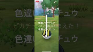 ポケモンGO 色違いピカチュウ出現！色違いライチュウへ進化！ #pokémon #ポケモン #ポケモンgo #pokemongo