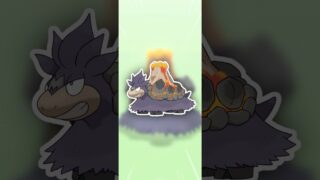 メガバクーダ、可愛い【ポケモンGO】