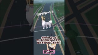 【ポケモンGO】第13弾公開しました！“相棒ポケモンの移動する姿が好き♪”【PokémonGO】