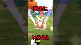 【ポケモンGO】レベル解放あと6日！XP2倍ボーナス終わる前にやるべき事3選🔥 10月ポケGO神シーズン速報✨  #PokemonGO #shorts