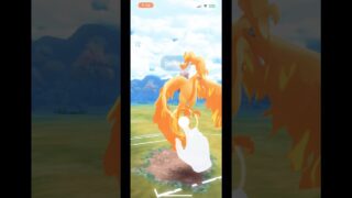 【ポケモンGO】色違いのガラルファイヤー使ってGBL対戦！！#ポケモンgo