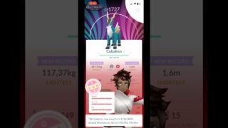 I Caught A Shundo Cobalion ✨💯| Pokemon Go #shorts #pokemon #pokemongo #shundopokemon