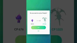 POIPOLE Gets Its FINAL Evolution Revealed!✨ In Pokemon Go |🔥#pokemongo #shorts #ultrabeast