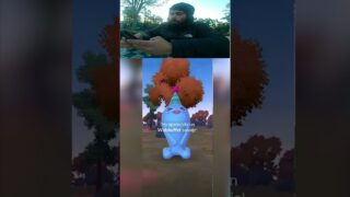 POKÉMON DE 9° ANIVERSARIO
