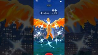 [Pokémon GO] The Same Spots! Shiny Moltres! 同一個地方又遇到伽勒爾鳥！ゲットだぜ！色違いガラルファイアー！ #pokemongo #ポケモンgo #寶可夢