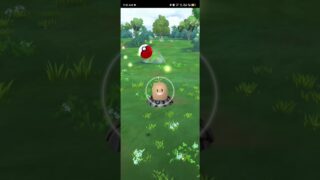 Pokemon Go: Catching Diglett #pokemongo #pokemon