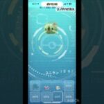 #PokemonGO #ポケモンGO #2025 #コミュニティデイ #ユニラン #色違い を捕まえたい