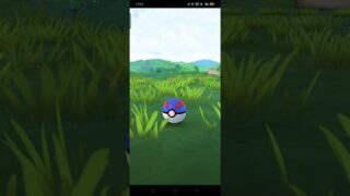 Shiny Patrat