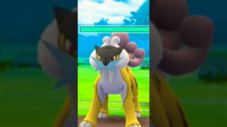 Stunkfisk’s domination in pokemon go    #pokemon #pokemongo