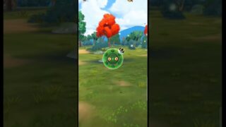 ✨️Why Do I Even Catch THIS Shiny Pokémon In Pokémon Go!🤣#pokemongo #shinypokemon #viralshorts