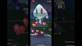 ライジングサンとマッチョシュウマールチャンネル登録お願いします #ポケモンgoバトルリーグ #ポケモン