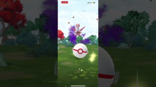 ラティアスゲットチャンス！！♯ポケモンgo♯ポケモン♯ラティアス♯準伝説♯シャドウポケモン♯シャドウラティアス♯レイド