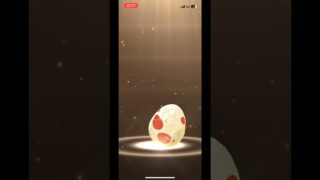 ポケモンgo たまごガチャ4連続孵化 #pokemongo #egg #shiny