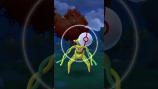 デオキシス＿ソロ討伐 #ショート動画#ポケモンgo #ポケモンGO＿ソロ討伐#デオキシス#メガシンカ#色違い#ソロ討伐
