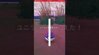 コミュデイ産色違いユニラン！#ポケモンgo #ポケモンgo好きと繋がりたい #色違い